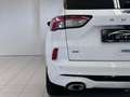 Ford Kuga 2,0 EcoBlue AWD ST-Line Aut./Head Up/ACC/LED/AHK/ Weiß - thumbnail 11