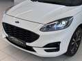 Ford Kuga 2,0 EcoBlue AWD ST-Line Aut./Head Up/ACC/LED/AHK/ Weiß - thumbnail 13