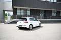 Volkswagen Golf 2,0 TDI Life, DSG, ACC, Line Assistent, Kamera Weiß - thumbnail 12