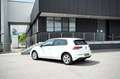 Volkswagen Golf 2,0 TDI Life, DSG, ACC, Line Assistent, Kamera Weiß - thumbnail 10