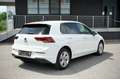 Volkswagen Golf 2,0 TDI Life, DSG, ACC, Line Assistent, Kamera Weiß - thumbnail 9