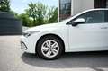 Volkswagen Golf 2,0 TDI Life, DSG, ACC, Line Assistent, Kamera Weiß - thumbnail 4