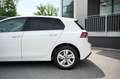Volkswagen Golf 2,0 TDI Life, DSG, ACC, Line Assistent, Kamera Weiß - thumbnail 5