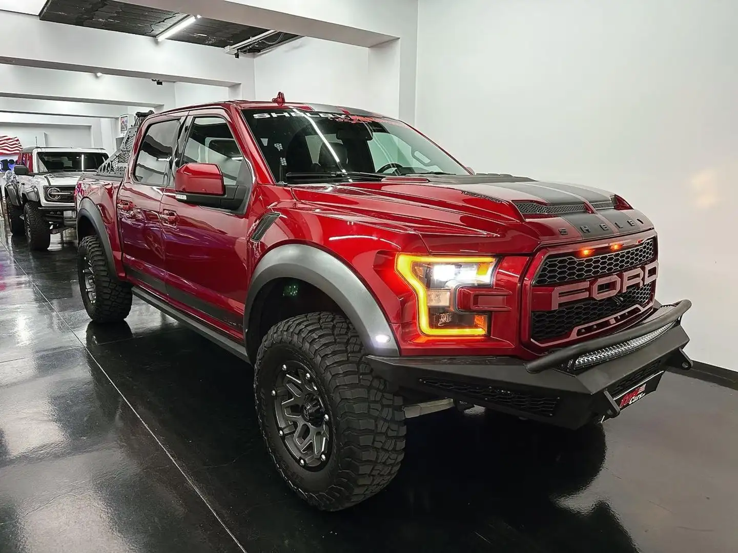 Ford F 150 BAJA SHELBY - 2