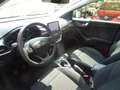 Ford Puma 1.0 ECOBOOST HYBRID S&S 125 CV TITANIUM Gris - thumbnail 8