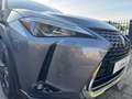 Lexus UX 250h Executive Line Leer Clima LED Nieuwstaat!! Grijs - thumbnail 6