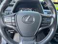 Lexus UX 250h Executive Line Leer Clima LED Nieuwstaat!! Grijs - thumbnail 21