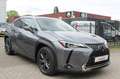 Lexus UX 250h Executive Line Leer Clima LED Nieuwstaat!! Grijs - thumbnail 2