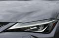 Lexus UX 250h Executive Line Leer Clima LED Nieuwstaat!! Grijs - thumbnail 5