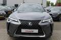 Lexus UX 250h Executive Line Leer Clima LED Nieuwstaat!! Grijs - thumbnail 3