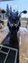 Kymco AK 550 abs, navigatore full Blu/Azzurro - thumbnail 5
