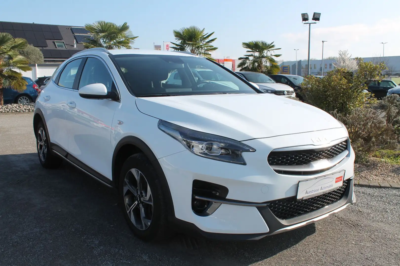 Kia XCeed Navi, LED, Kamera, CarPlay&Android Weiß - 1