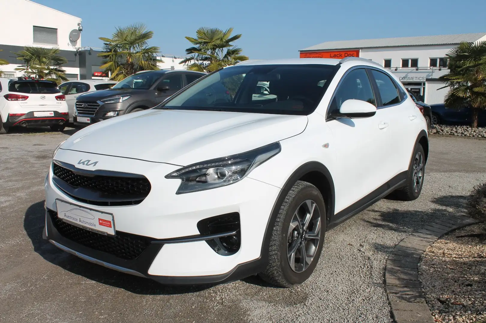 Kia XCeed Navi, LED, Kamera, CarPlay&Android Weiß - 2