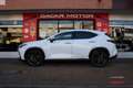 Lexus NX 450h+ Executive+ 4WD Blanco - thumbnail 6