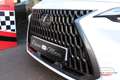 Lexus NX 450h+ Executive+ 4WD Blanco - thumbnail 15