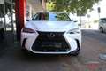 Lexus NX 450h+ Executive+ 4WD Blanco - thumbnail 5