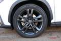 Lexus NX 450h+ Executive+ 4WD Blanco - thumbnail 12