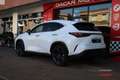 Lexus NX 450h+ Executive+ 4WD Blanco - thumbnail 4