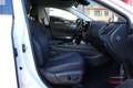 Lexus NX 450h+ Executive+ 4WD Blanco - thumbnail 48