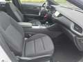 Opel Insignia Business Weiß - thumbnail 16
