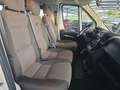 Fiat Ducato Bianco - thumbnail 10