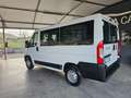 Fiat Ducato Bianco - thumbnail 2