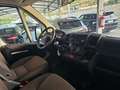 Fiat Ducato Bianco - thumbnail 6