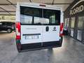Fiat Ducato Bianco - thumbnail 3