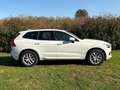 Volvo XC60 XC60 II 2018 2.0 d4 Inscription geartronic Bianco - thumbnail 7