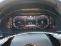 Skoda Kamiq 1.0 TSI Monte Carlo - SHZ KAMERA Pano NAVI LED *SN Grau - thumbnail 14