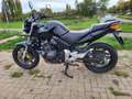 Honda CBF 600 NA Zwart - thumbnail 2