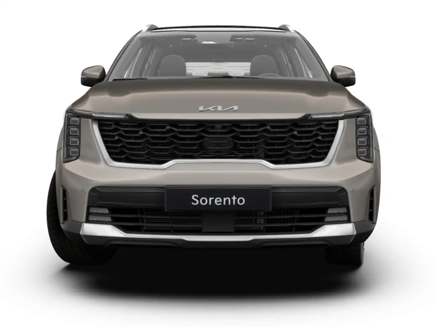 Kia Sorento 1.6 T-GDi Plug-in Hybrid ExecutiveLine 7p I Snel l Gris - 2