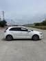 Hyundai i30 1.6 crdi Business 110cv - thumbnail 2