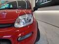 Fiat Panda CITY CROSS 1.0 FireFly S&S Hybrid Rosso - thumbnail 8