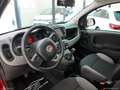 Fiat Panda CITY CROSS 1.0 FireFly S&S Hybrid Rosso - thumbnail 13