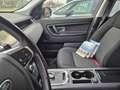 Land Rover Discovery Sport Discovery Sport 2.0 Si4 Pure Weiß - thumbnail 12