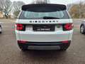 Land Rover Discovery Sport Discovery Sport 2.0 Si4 Pure Weiß - thumbnail 6