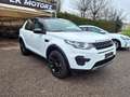 Land Rover Discovery Sport Discovery Sport 2.0 Si4 Pure Weiß - thumbnail 2