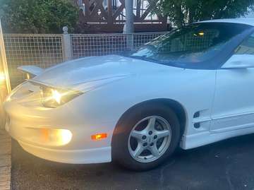 Firebird