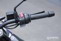 BMW G 310 GS GS Abs Blauw - thumbnail 12