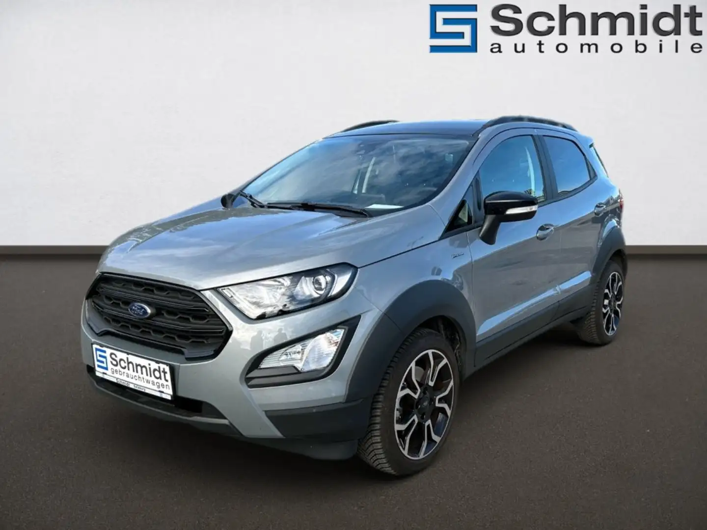 Ford EcoSport 1,0 EcoBoost Active Silber - 1