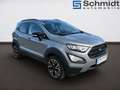 Ford EcoSport 1,0 EcoBoost Active Argent - thumbnail 5