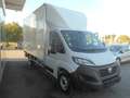 Fiat Ducato Ducato 35 Maxi L4 140 Koffer/Hebebühne Netto € ... Blanc - thumbnail 5