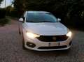 Fiat Tipo 1.4  95cv my20 Білий - thumbnail 2