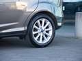 Ford B-Max TREND 1.0 100PK |AIRCO|SENSOREN| Gris - thumbnail 5
