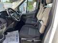 Ford Transit 350L1 RIB. TRILATERALE 2.0TDCI 130CV TREND Bianco - thumbnail 7