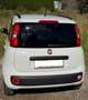 Fiat Panda 1,2 69 City - thumbnail 5