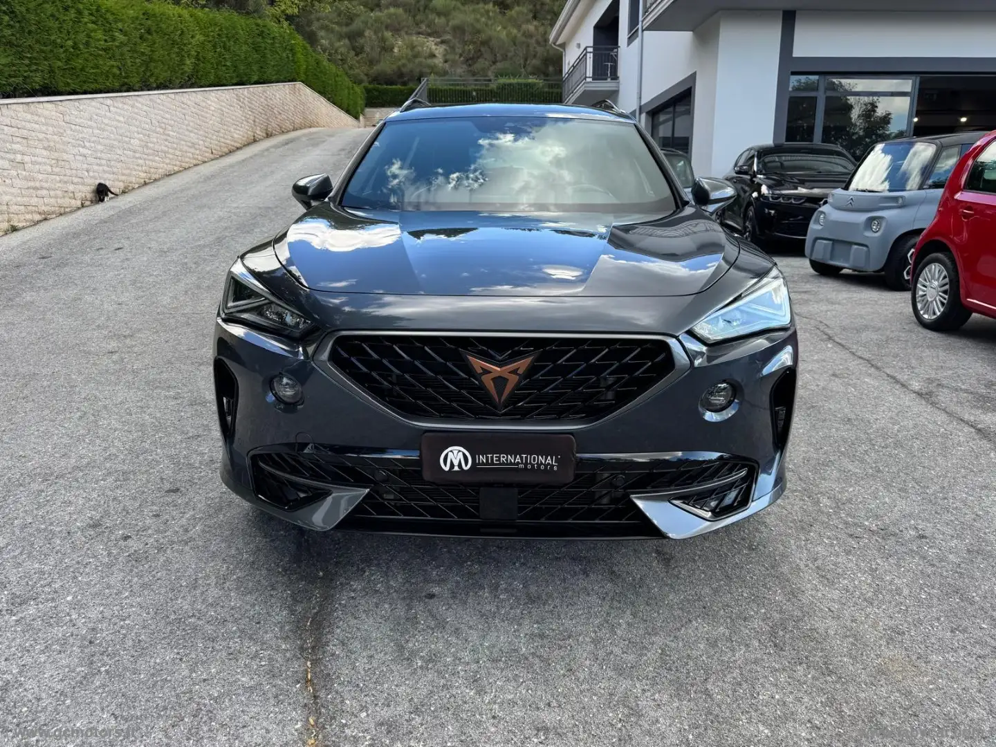 CUPRA Formentor 2.0 TDI 4Drive DSG Noir - 2