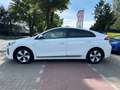 Hyundai IONIQ Ioniq Trend Elektro*Navi*LED*CarPlay*99,7% Biały - thumbnail 6