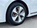 Hyundai IONIQ Ioniq Trend Elektro*Navi*LED*CarPlay*99,7% Biały - thumbnail 11